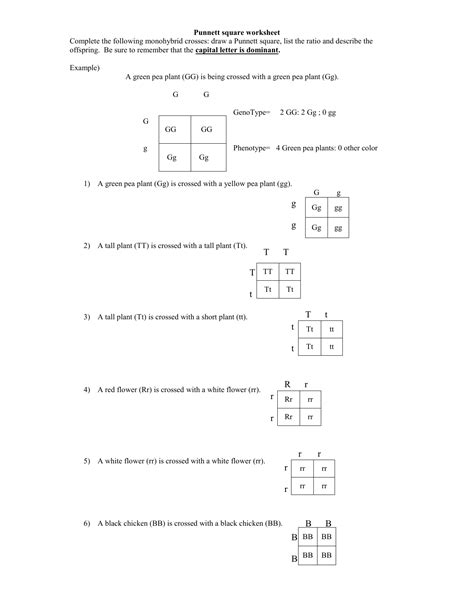 Heterozygous round eyes, blue body. Dihybrid Cross Practice Problems Worksheet Answer Key Pdf ...