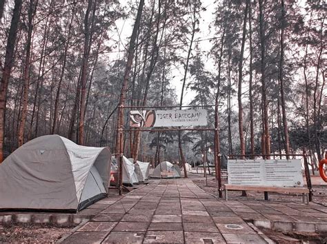 Tiger Base Camp Malaysia Camping