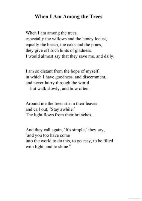 When I Am Among The Trees Mary Oliver Poems Mary Oliver Poems