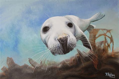 Philip Ashley Art Marine Life Paintings Gallery