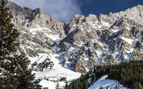 Download Wallpaper 1680x1050 Mountain Snow Forest Trees Winter