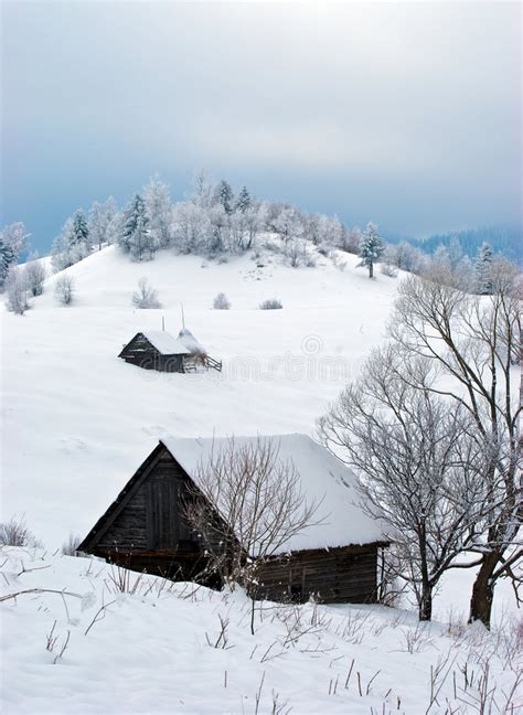 Winter Landscape In Romania Stock Image Image Of Forest Landscape