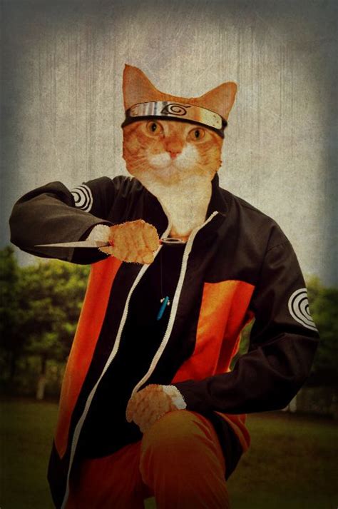 My Cat Naruto By ~bradley Barger Bad Cats Cats Kitty