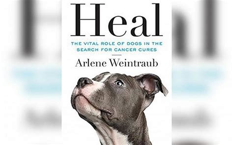 Let's talk about one of the most occurring bone cancer in dogs.in dogs, bone cancer also can occur as a primary or metastatic disease. New Book Explains How Dogs Help Cure Cancer - Top Dog Tips