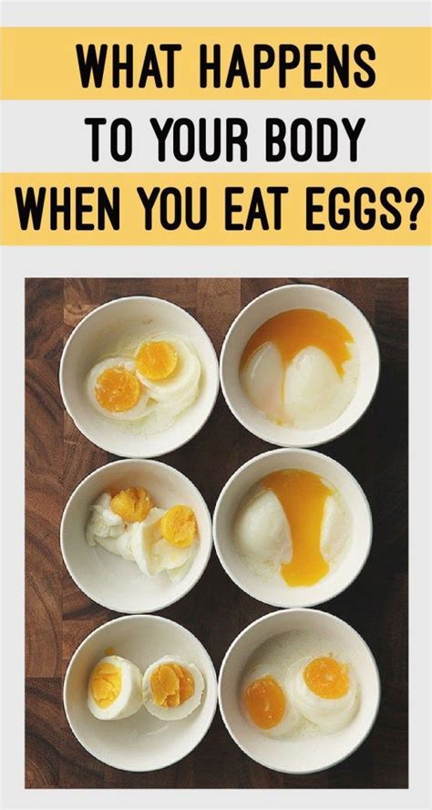 WHAT HAPPENS TO YOUR BODY WHEN YOU EAT EGGS? | Healthy ...