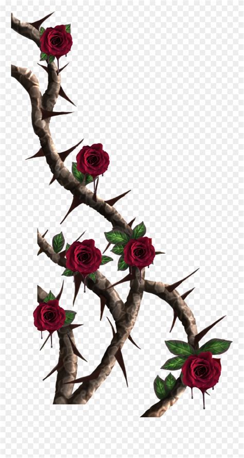 Download Vines Roses Vine Red Rose Thorns Png Clipart 4053334