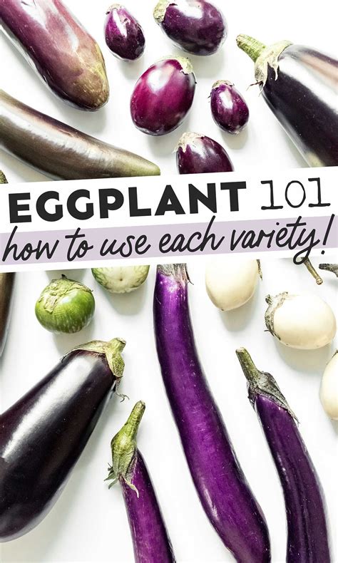 6 Types Of Eggplants And How To Use Them Live Eat Learn