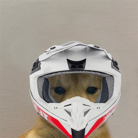 38 Dog Dirt Bike Helmet