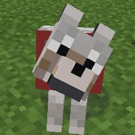 Minecraft Dog Gamer 302 Youtube