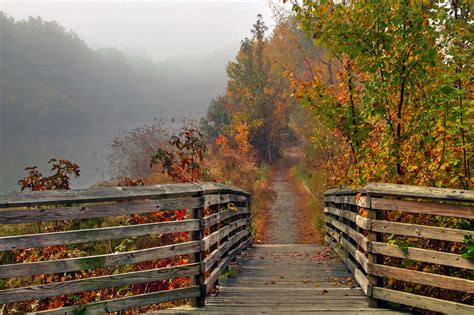 Foggy Fall Trail Photograph By Jerry Gammon Fine Art America