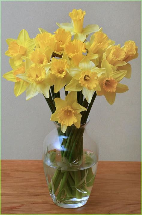 Daffodil Still Life By Terence Davis Still Life Daffodils Floral Art