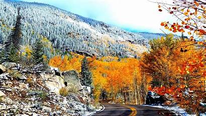 Aspen Colorado Fall Trees Tree Road Colors