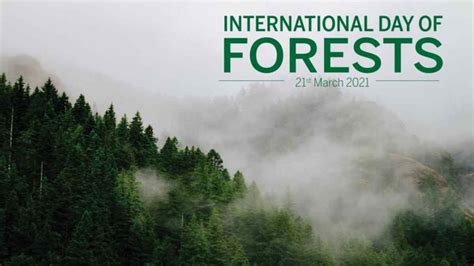 International Day Of Forests 21 March 2023 Thedalweb
