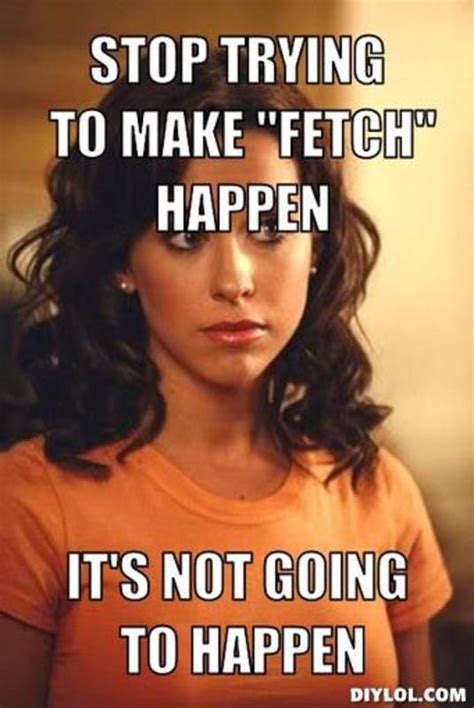 [image 768914] stop trying to make fetch happen know your meme