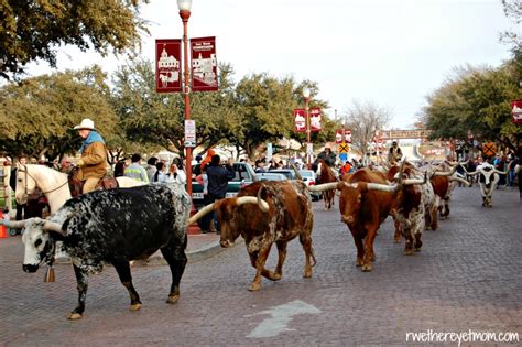 10 Fun Things To Do At The Fort Worth Stockyards ~ Fort