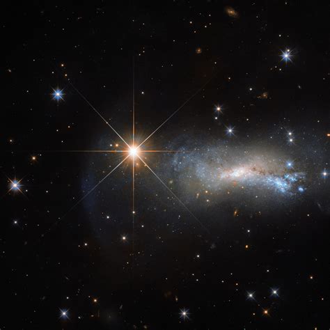 Star from the Lizard Constellation Photobombs Hubble Obser ...