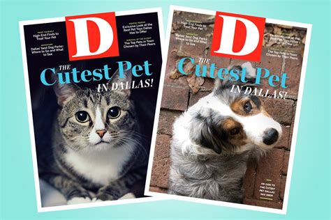 D Magazine‘s Cutest Pets 2019 Is Live We Want Your Dogs Cats