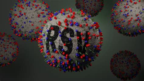 Renoir Pfizer Trial Finds Adult Rsv Is Rare Vaccine No