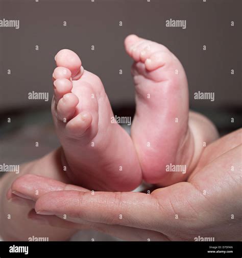 Baby Feet And Hands Hi Res Stock Photography And Images Alamy
