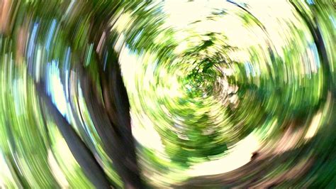 Stop Spinning: Dizziness and Balance Disorders - Westwood ENT