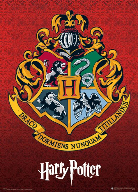 Harry Potter Special Edition Metallic Movie Poster Print Hogwarts