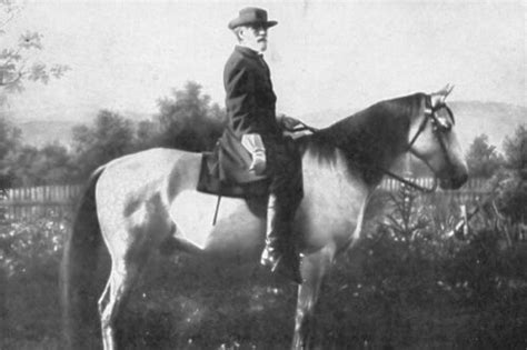 New 5x7 Civil War Photo Confederate General Robert E Lee And Horse
