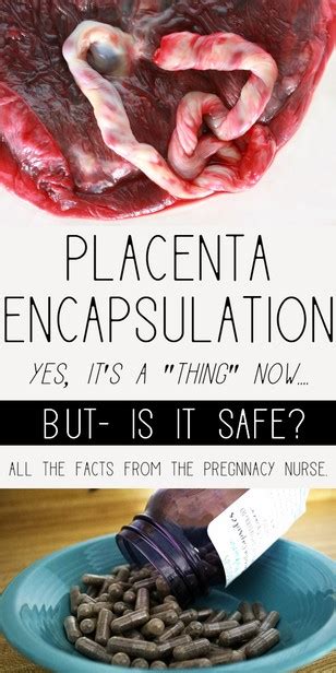 Eating Your Placenta The Pros And Cons Of Placental Encapsulation