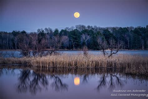 Nature Photography Full Moon Northern Wisconsin Lake Fine Etsy