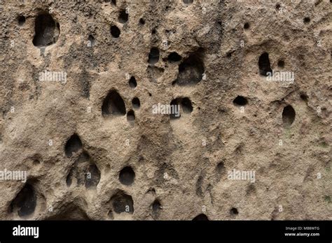 Surface Of The Sand Rock With Small And Big Holes Made By Erosion Stock