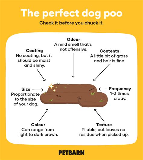 How To Tell If Its A Healthy Dog Poo Petbarn