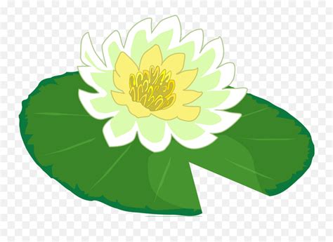 White Flower Water Lily Clipart The Lily Pad Png Emojilily Pad Emoji