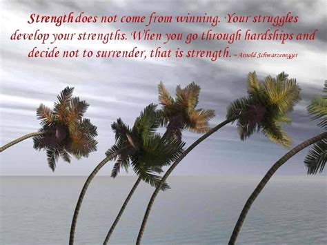 This was only the third time we competed this free dance, but we felt. 8 best Strength palm tree quotes images on Pinterest | Palm trees, Palms and Tree quotes