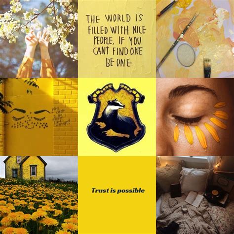 Hufflepuff Aesthetic Harry Potter Houses Harry Potter Books Hogwarts Houses Harry Potter