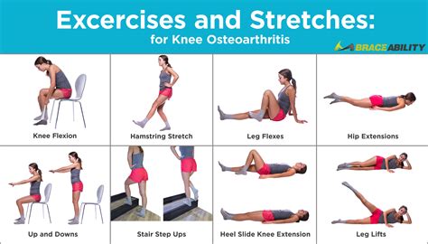 Knee Strengthening Exercises For Cartilage Damage Online Degrees