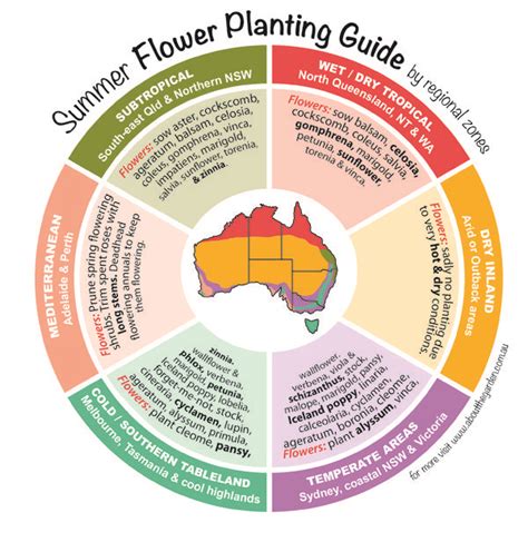 Summer Flower Planting Guide By Regional Zones Australia Great Quick