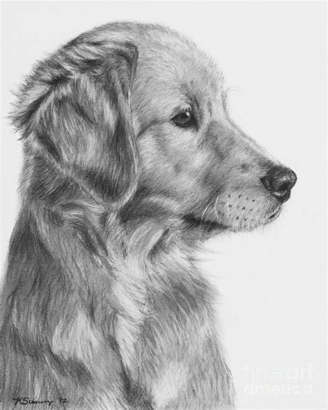 📌 25 Best Ideas About Realistic Drawings On Pinterest Drawing