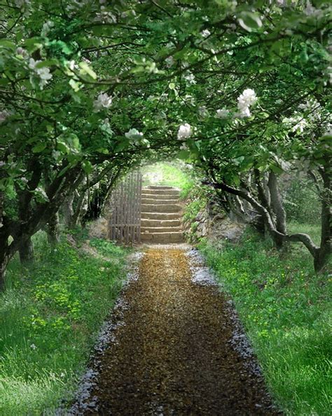 🌳 61 Magical Secret Garden Paths Geheimer Garten Garten