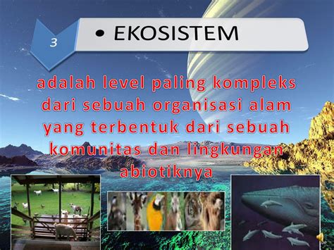 Ppt Ekologi Powerpoint Presentation Free Download Id273284