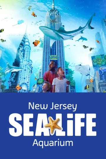 New Jersey Sea Life Aquarium Tickets New York Theatre Guide
