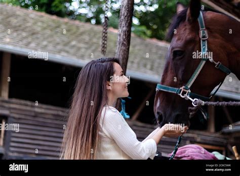 A Beautiful Young Brunette Girl Looks After Her Horse In The Stable