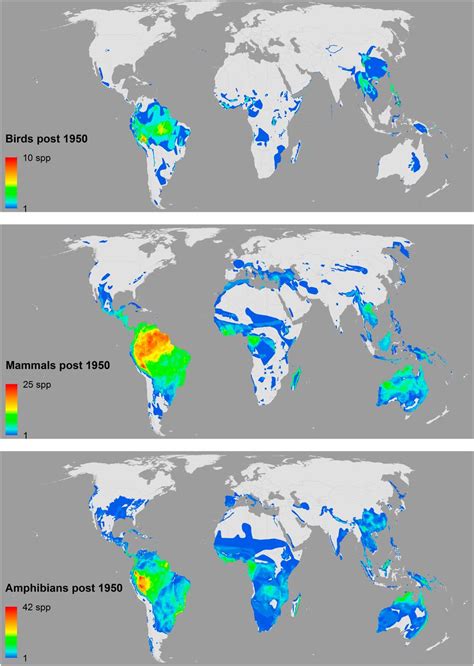 Global Patterns Of Terrestrial Vertebrate Diversity And Conservation Pnas