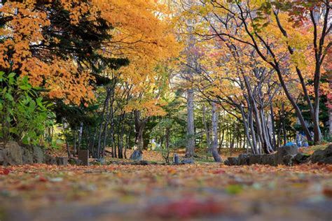 Autumn Landscape At Nakajima Park Sapporo City Hokkaido Japan Stock