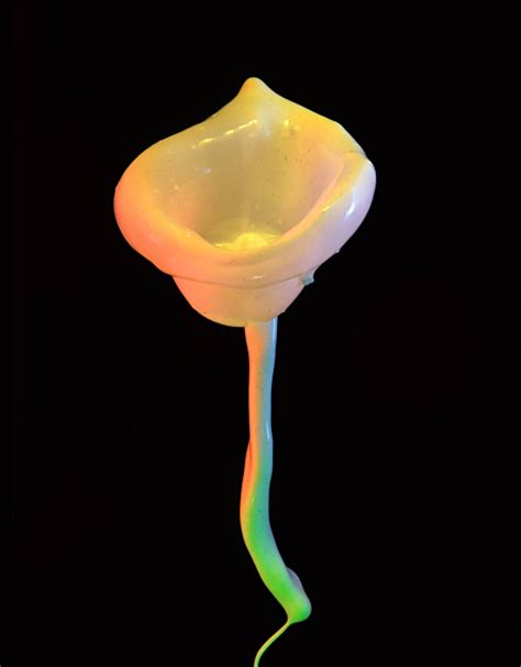 Liquid Flowers Photographer Jack Long Abc News