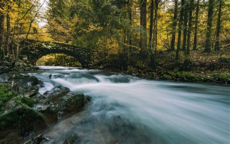 Download Wallpapers Mountain River Stone Bridge Forest Autumn