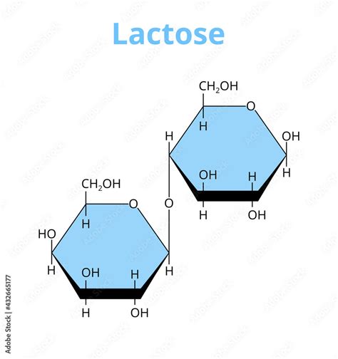 2d Vector Molecular Structure Of The Disaccharide Lactose Sugar