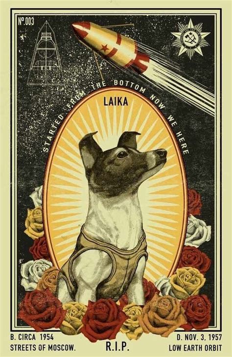 In 1957, the dog became the first animal to enter the earth's orbit. Laika: Soviet space dog who became one of the first ...