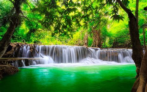 Beautiful Landscape Background Mountain River Thick Green Forest With