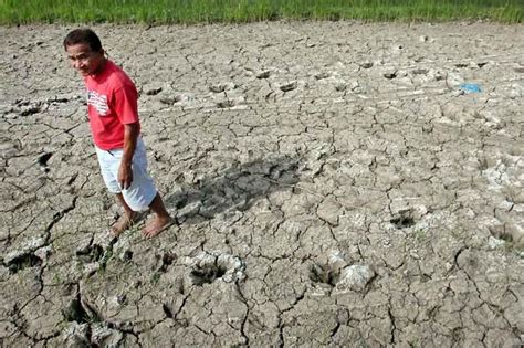 El Niño Dry Spell Looms In First Quarter Of 2019 Pagasa