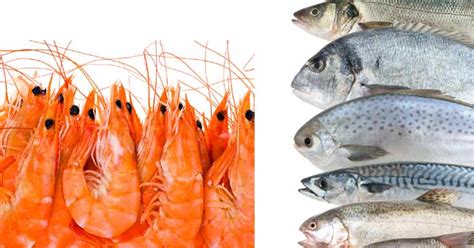 Krill oil might be better absorbed in the body than fish oil. Fish Oil Vs Krill Oil Benefits, Which One Is Better and ...