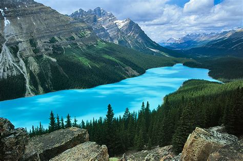 Beautiful Peyto Lake Canada World For Travel